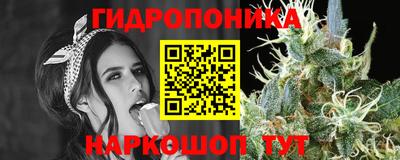 круглые Новодвинск