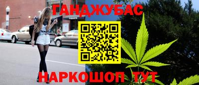 крисы Новокубанск