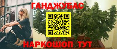 ешки Новозыбков