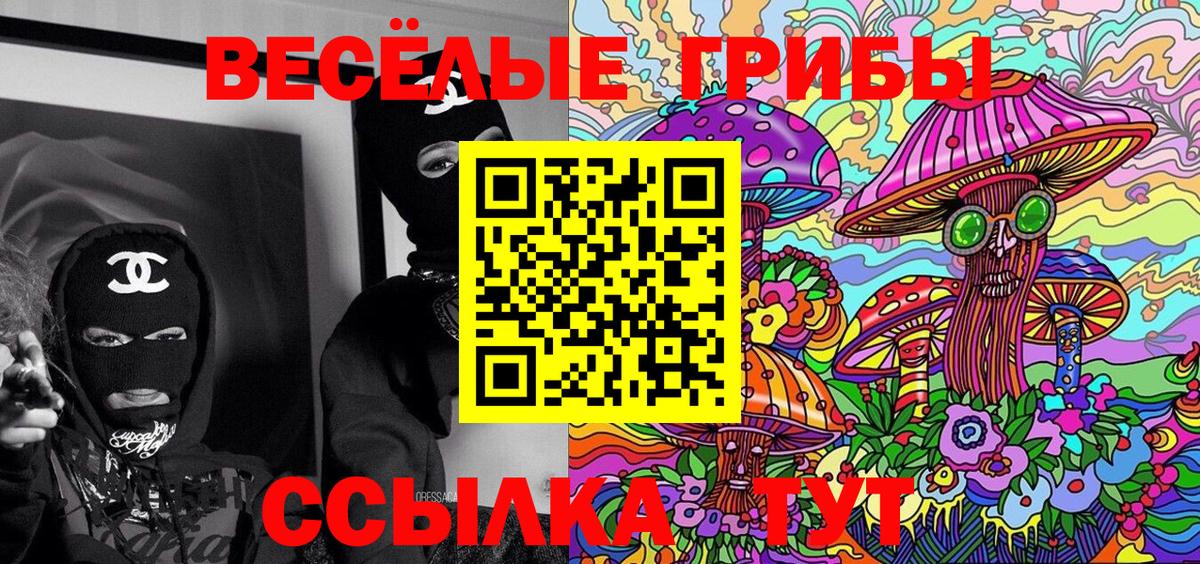 Урай  Галлюциногенные грибы Psilocybine cubensis  Вход с VPN 